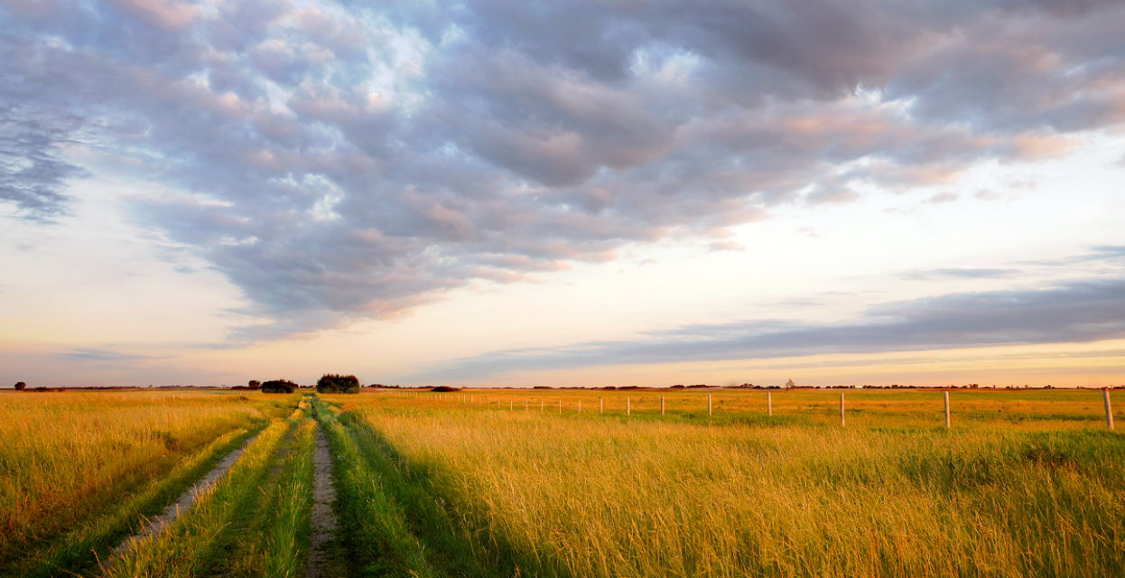 farm in manitoba